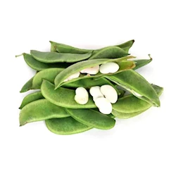 fresh-vegetables
