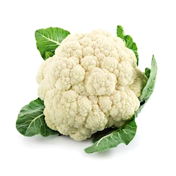 fresh-vegetables