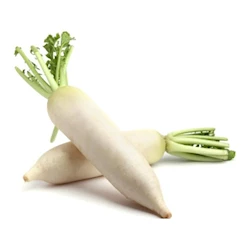 fresh-vegetables