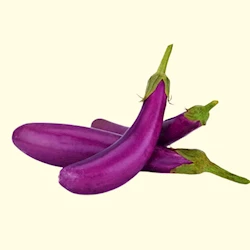 fresh-vegetables